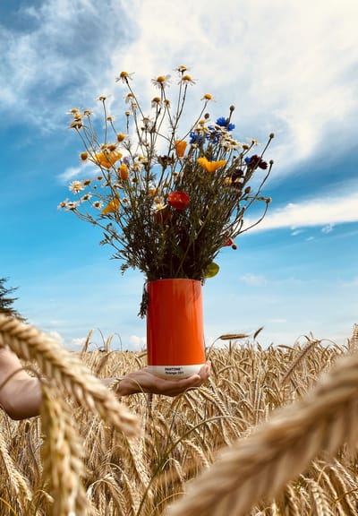 Copenhagen Design - Pot Multifunctioneel 1 Liter - Orange 021 - Porselein - Oranje