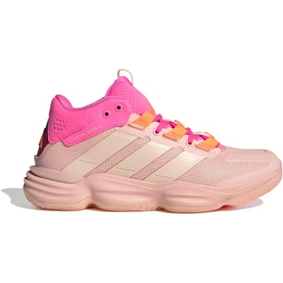 Indoorschoenen voor dames adidas Courtstabil