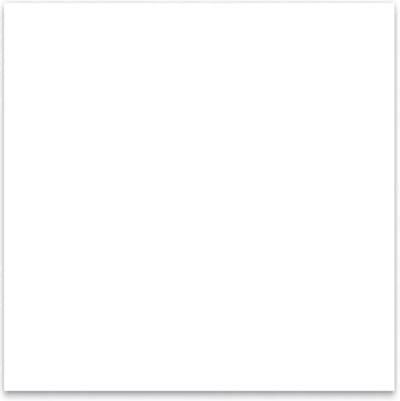 Boston PG-133-W pickguard material, 1 ply, 30x29cm, white