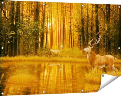 Gards Tuinposter Twee Herten in het Bos bij het Water - 120x80 cm - Tuindoek - Tuindecoratie - Wanddecoratie buiten - Tuinschilderij