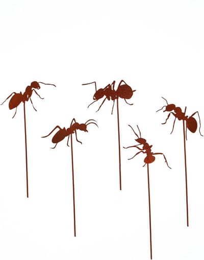 Tuin decoratie - Roestige insecten - Tuin versieren - Weerbestendig metaal - 5 stuks - Roestlook
