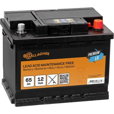 Gallagher Accu 12V/65Ah Premium LA - Compacte accu voor energievoorziening in schrikdraadsystemen
