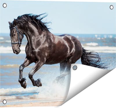 Gards Tuinposter Zwart Paard in het Water - 50x40 cm - Tuindoek - Tuindecoratie - Wanddecoratie buiten - Tuinschilderij