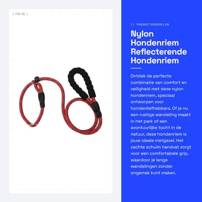 Dailygoods- Hondenriem 130cm - Reflecterend - Nylon - Schuim Handvat - Veiligheid - Comfortabel - Hondentouw