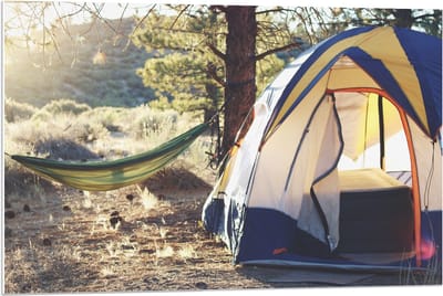 Forex - Tent met Hangmat in de Bossen - 90x60cm Foto op Forex