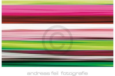 Kunstdruk Andreas Feil - Fotografie II 138x95cm