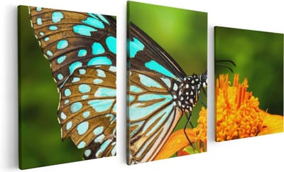 Artaza Canvas Schilderij Drieluik Blauwe Vlinder Bij Een Oranje Bloem - 120x60 - Foto Op Canvas - Canvas Print