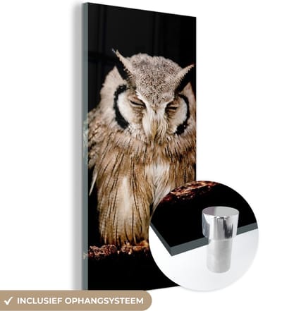 MuchoWow® Glasschilderij 20x40 cm - Schilderij acrylglas - Uil - Vogel - Zwart - Foto op glas - Schilderijen