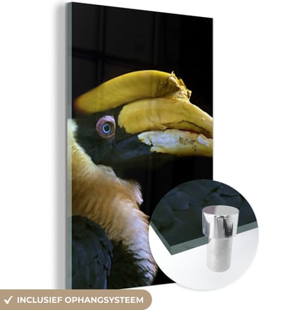 MuchoWow® Glasschilderij 120x180 cm - Schilderij acrylglas - Vogel - Snavel - Zwart - Foto op glas - Schilderijen