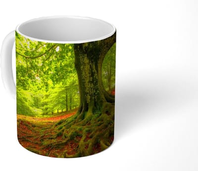 Mok - Koffiemok - Boom - Bos - Herfstbladeren - Mokken - 350 ML - Beker - Koffiemokken - Theemok