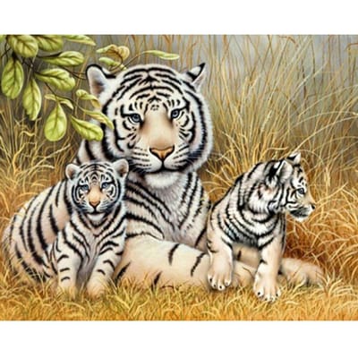 Cross Stitch Kit DIY Diamond Borduren Ontspannen tijgers Diamond Schilderen Mozaïek Home Decor 20X30CM black