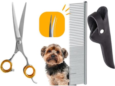 Professor Q – Professionele Up Gebogen Hondenschaar – Oranje – 7.5 Inch (19,5 cm) – Voor Langharige Honden met Luxe Lederen Etui – 16,5 cm – Zwart + Anti-Klit Kam – Pijnloos & Huisdiervriendelijk