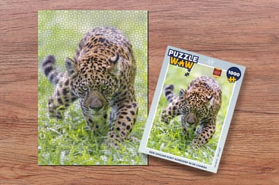 Puzzel Jaguar - Jagen - Gras - Legpuzzel - Puzzel 1000 stukjes volwassenen