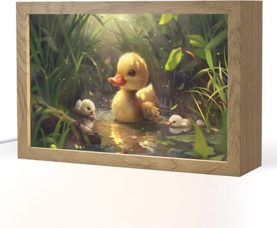 Nachtlampje 30x20 cm - Kinder lampje - Eendjes - Dieren - Natuur - Tafellamp kinderkamer - Slaapkamer lamp - Bedlamp kinderen - Kinderlampje stopcontact - Wandlamp babykamer - Nachtlampjes