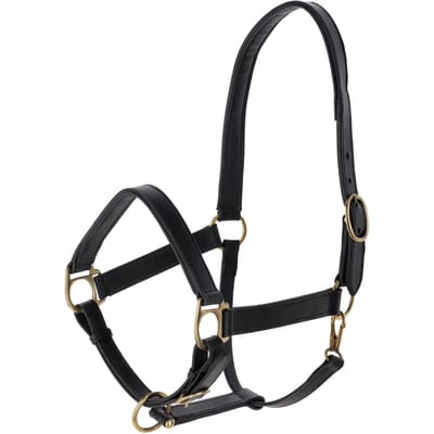 Leren halster voor paarden Kerbl Eco