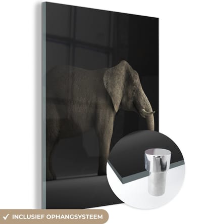 MuchoWow® Glasschilderij 120x160 cm - Schilderij acrylglas - Olifant - Dieren - Licht - Foto op glas - Schilderijen