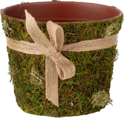 Dekoratief | Bloempot m/strik/mos, groen/naturel, 16x16x13cm | A240969