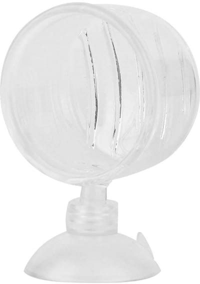 Dailygoods- Voederbak Transparant - Voederbak voor Vissen - Voederbak met Zuignap - Voederbak voor Insecten - Voederbak Accessoire - Verlengde Overlevingstijd - Voedercontainer