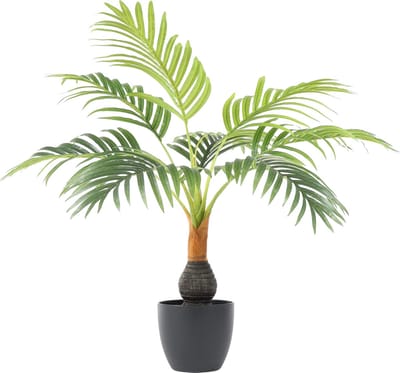 Kunst Bottle Palm | 60cm – Mini Palmboom – Nep Flessenpalm – Kleine Kunstpalm – Brede Stam – Tropische Decoratie
