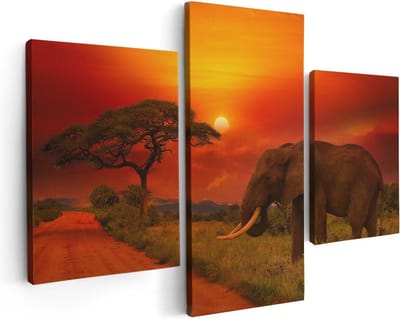 Artaza Canvas Schilderij Drieluik Olifant In Het Wild Tijdens Zonsondergang - 90x60 - Foto Op Canvas - Canvas Print