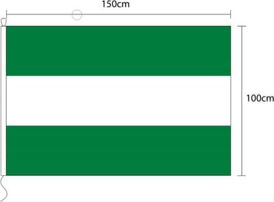 Vlag van Rotterdam 100 x 150cm