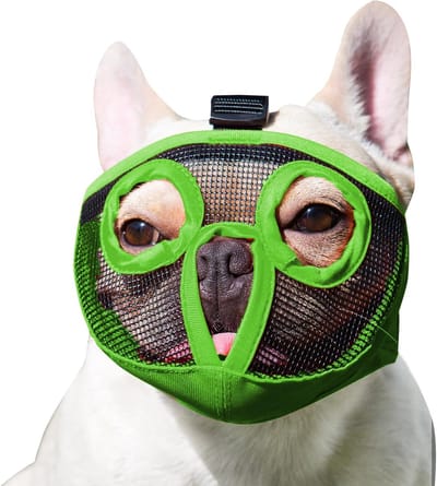 Honden muilkorf - Ademend masker - Veiligheid training - Speciaal voor korte snuiten - XL 46-64cm - Groen