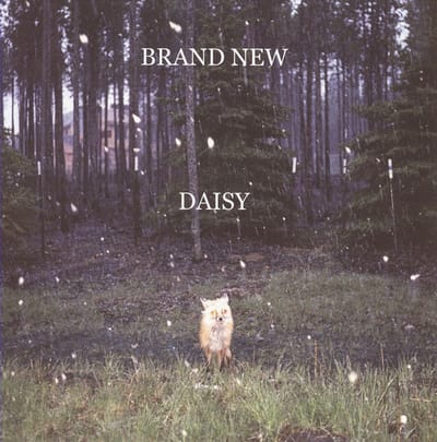 Daisy - Brand New