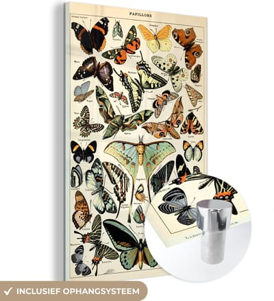 MuchoWow® Glasschilderij 40x60 cm - Schilderij acrylglas - Adolphe Millot - Vlinder - Dieren - Insecten - Vintage - Foto op glas - Schilderijen