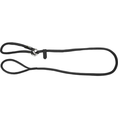 Hondenriem met geïntegreerde halsband Kerbl Roma