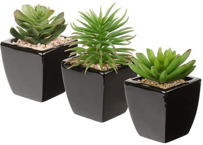 Dailygoods- Vetplanten Set van 3 - Kunstmatige Nepplanten in Keramische Pot - Decoratie voor Binnen/Buiten - Ideaal voor Badkamer/Kantoor - Realistische Uiterlijk