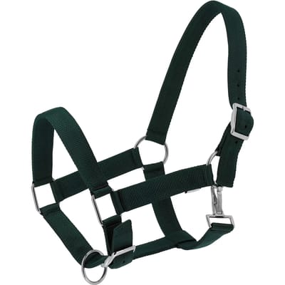 Halster voor paarden Norton Extra