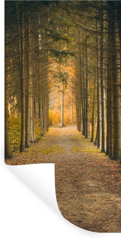 Muurstickers - Sticker Folie - Pad - Bomen - Bos - 40x80 cm - Plakfolie - Muurstickers Kinderkamer - Zelfklevend Behang - Zelfklevend behangpapier - Stickerfolie