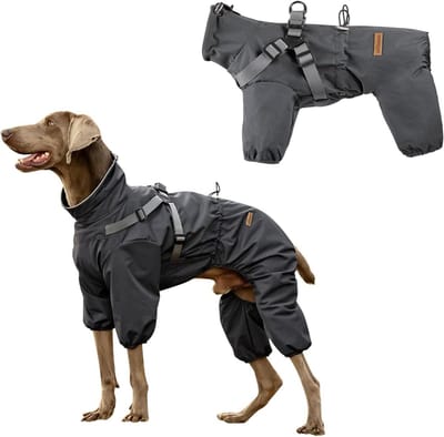 Honden Regenjas - Hondenjas Waterdicht - Hond Uitlaten - Met Ingebouwde Harnas - 5XL - Grijs