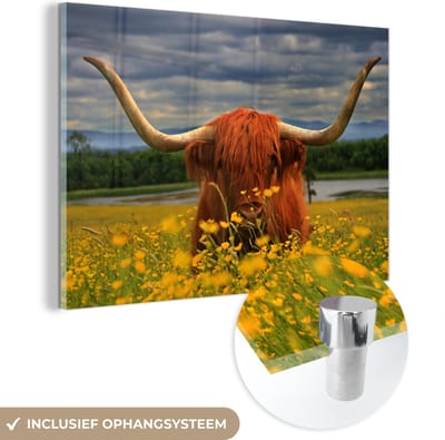 MuchoWow® Glasschilderij 150x100 cm - Schilderij acrylglas - Schotse Hooglander - Dieren - Bloemen - Foto op glas - Schilderijen