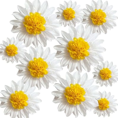 Dailygoods- Tissue Paper Pom Poms 12"/8" - Feestdecoratie - Verjaardag - Bruidsdouche - Baby Shower - Muur Opknoping - 10 Stuks