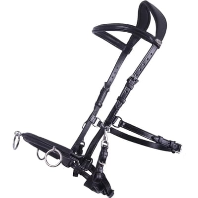 Qhp Kaptoom leer Black - Cob