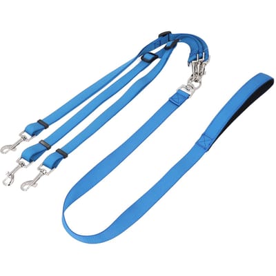 Laisse pour chien à 3 voies, multifonction, en nylon épais, détachable et réglable, avec coupleur bleu