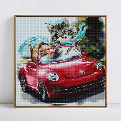 Diamant schilderij dier mozaïek diamant borduurwerk rijden kat 5D kruissteek 30x30CM black