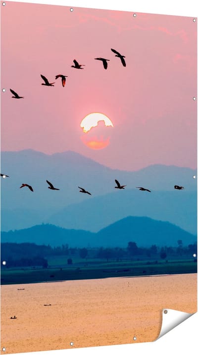 Gards Tuinposter Silhouet van Zwerm Vogels bij Zonsondergang - 120x180 cm - Tuindoek - Tuindecoratie - Wanddecoratie buiten - Tuinschilderij