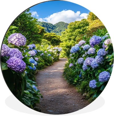 WallCircle - Wandcirkel - Muurcirkel - Hortsensia - Pad - Bloemen - Aluminium - Dibond - 30x30 cm - Binnen en Buiten