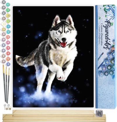 Figured'Art Schilderen op Nummer Volwassenen canvas Husky - Handwerk acrylverf Kit DIY Compleet - 40x50cm met DIY houten lijst