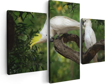 Artaza Canvas Schilderij Drieluik Twee Witte Kaketoes in de Bomen - 90x60 - Foto Op Canvas - Canvas Print