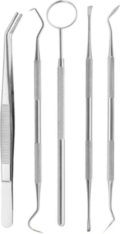 Tandarts instrumenten set 5 stuks Spiegel Haak Prikker Pincet Sikkel / HaverCo