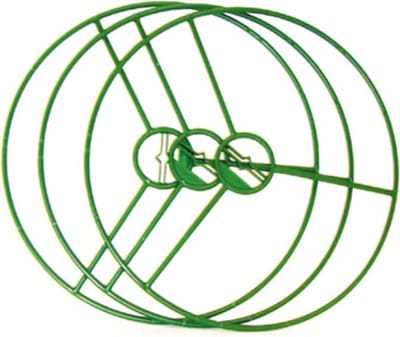 Hendrik Jan plantensteun lift 30 cm (3 stuks)