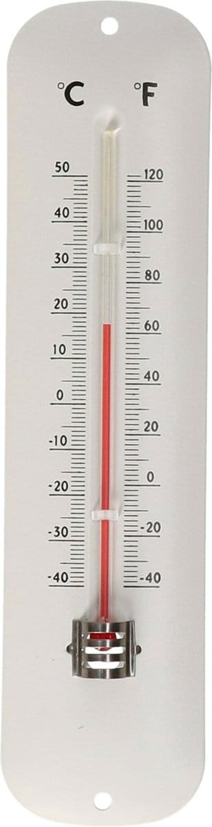 Thermometer wit voor binnen en buiten - 1x - Weermeters en buitenthermometers - 5 x 19 cm - metaal