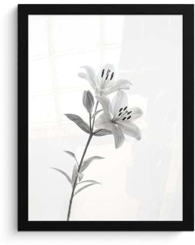 Poster in lijst - Fotolijst 30x40 cm - Posters - Lelies - Elegant - Zwart - Wit - Posterlijst zwart - Decoratie - Wanddecoratie woonkamer - Muurdecoratie slaapkamer