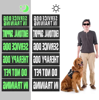 Luminous Hondenvest Patches - 6 Verwijderbare Patches met Haak, Persoonlijke Naam Patch voor Hulp, Training en Emotionele Ondersteuning - Niet voor Huisdieren - Wit