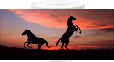 Spaarpot - Horses Sunset