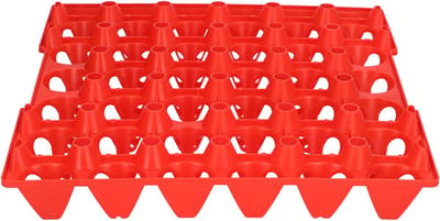Egg Plates Tray 30 Eggs Plastic 5 Pcs Plastic Egg Flat 30 Cells Egg Holder Tray for Storage Transportation Home - ShopVlot