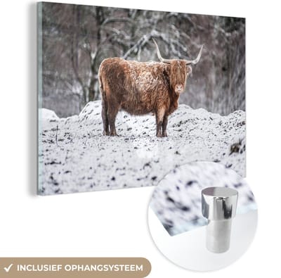 MuchoWow® Glasschilderij 120x80 cm - Schilderij acrylglas - Schotse Hooglander - Boom - Sneeuw - Foto op glas - Schilderijen